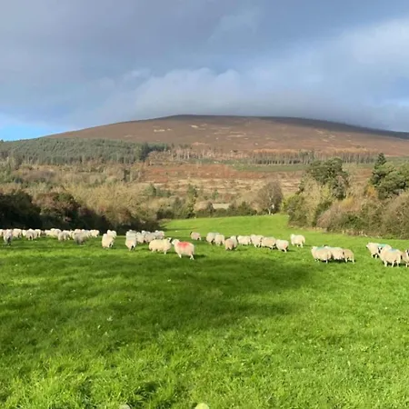 別荘 The Mountain Slievenamon Spacious 4 Bedroom House *
