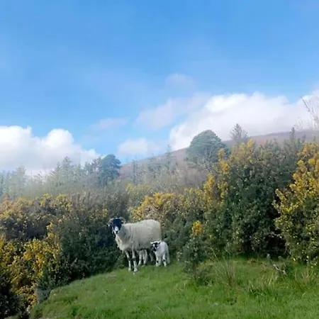 別荘 The Mountain Slievenamon Spacious 4 Bedroom House *