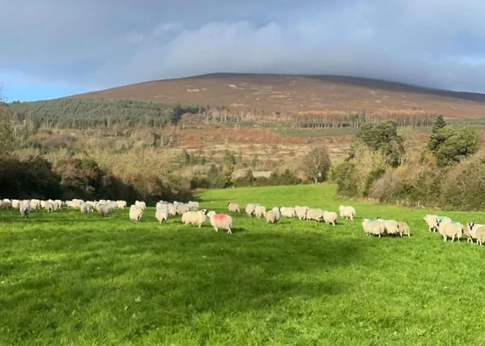 Casa vacanze The Mountain Slievenamon Spacious 4 Bedroom House *