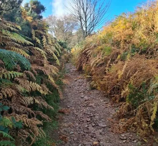 The Mountain Slievenamon Spacious 4 Bedroom House *